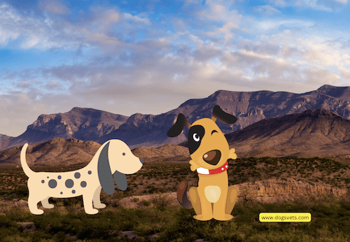 Dog-Friendly Vacation Destinations in Santa Fe, New Mexico
